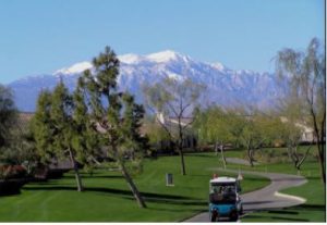 Sun City Palm Desert Homes for Sale